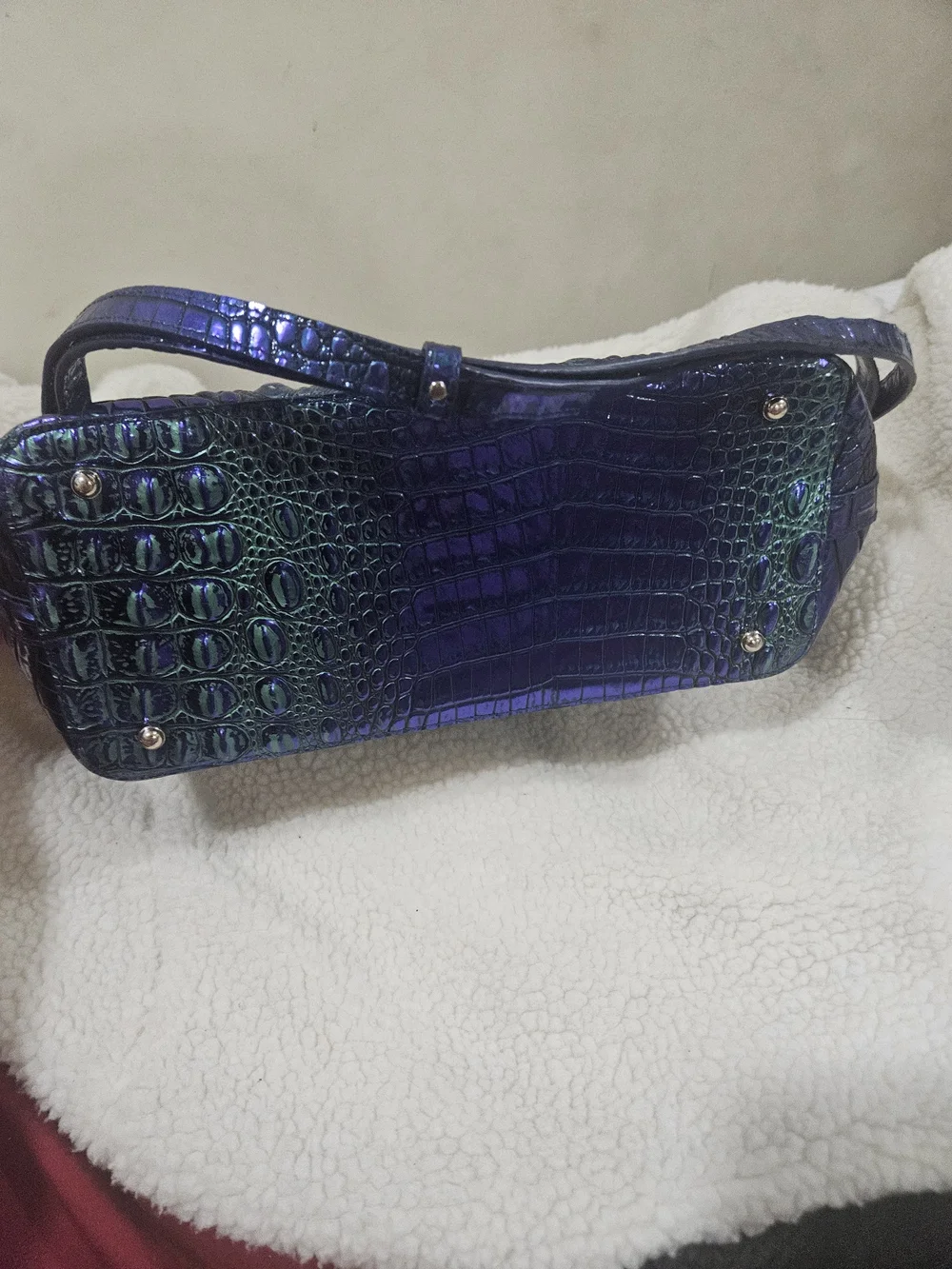 Brahmin stylish iridescent